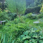 Romantische Gartenlaube Mit Blick Auf Elbe Apartment