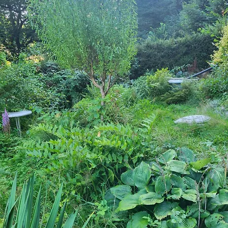 Romantische Gartenlaube Mit Blick Auf Elbe Apartment