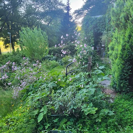 Apartamento Romantische Gartenlaube Mit Blick Auf Elbe