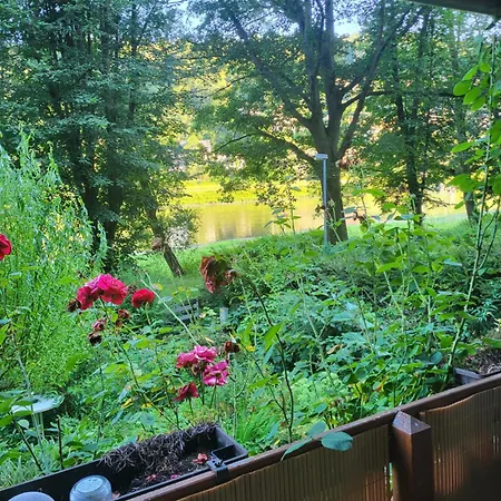 Romantische Gartenlaube Mit Blick Auf Elbe